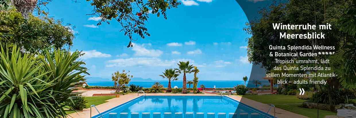 Pool mit klarem Wasser vor Palmen und Meer unter blauem Himmel