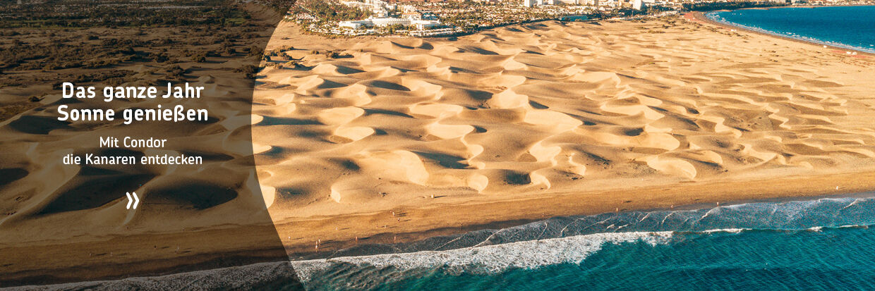Luftaufnahme einer Sanddünenlandschaft am Meer