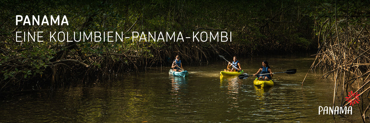 Drei Personen paddeln in Kajaks auf einem ruhigen Fluss