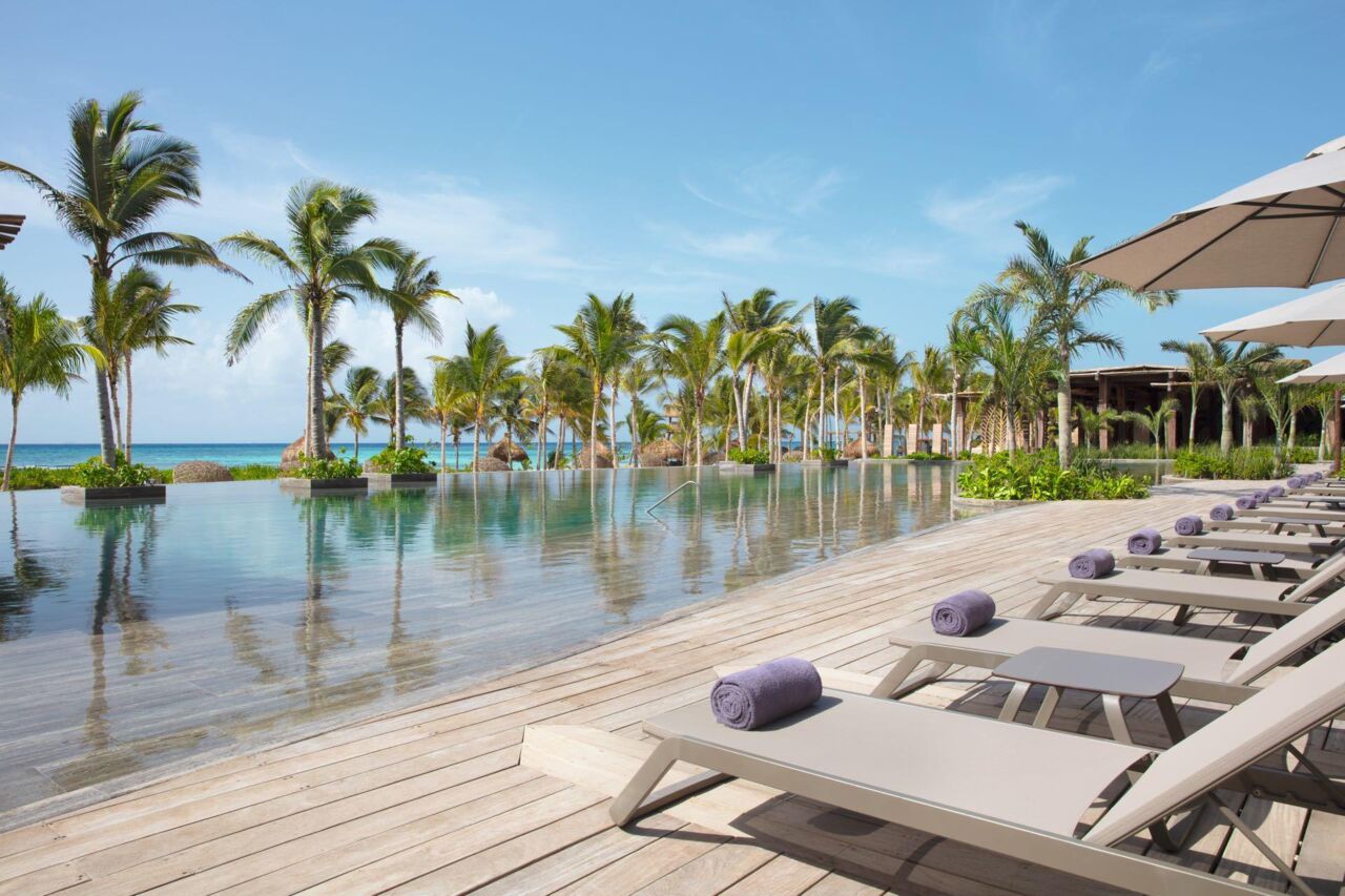 Infinity Pool mit Palmen