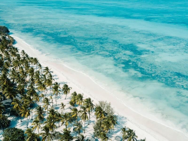 Strandabschnitt mit Palmen