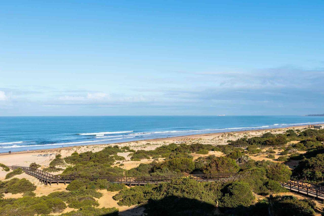 Küstenlandschaft mit Sanddünen