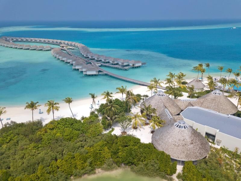 Luftaufnahme einer tropischen Insel mit Palmen